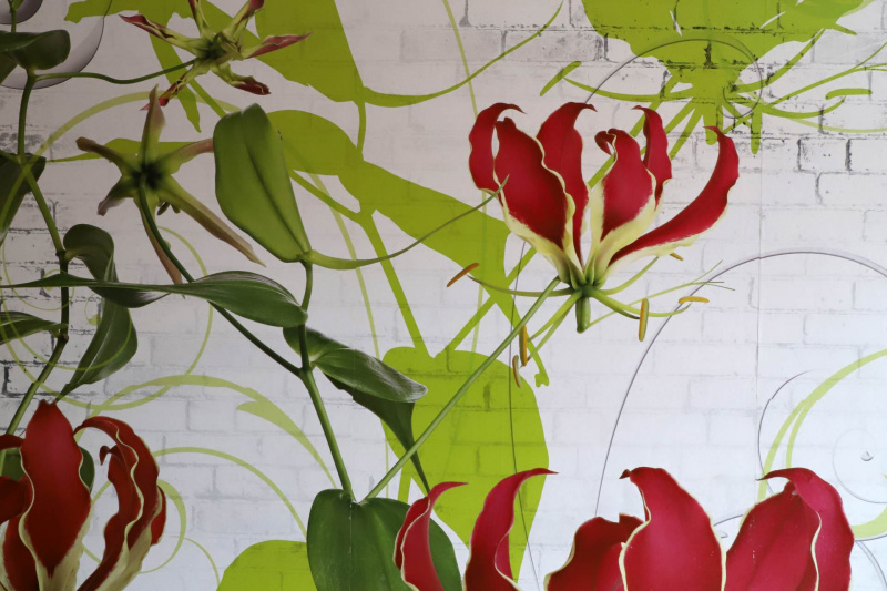 Umzug Ronja, Katy und Erik 2020