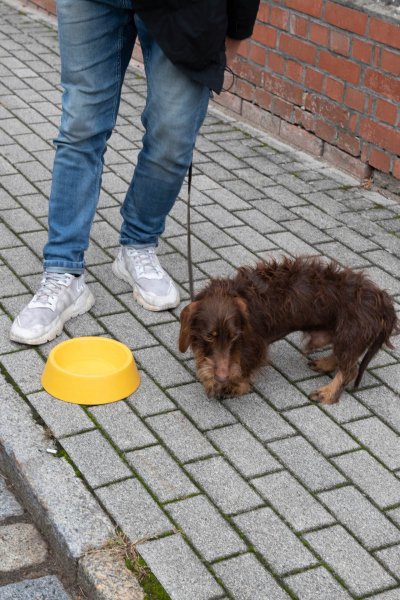 Ausflug zum Tag der Deutschen Einheit 2019