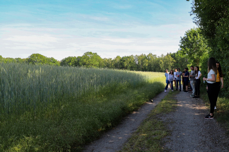 GCT Teamevent Boßeln Kirchhorst 2019