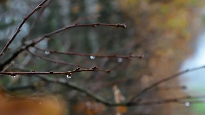 Impressionem Kirchhorster See 2018