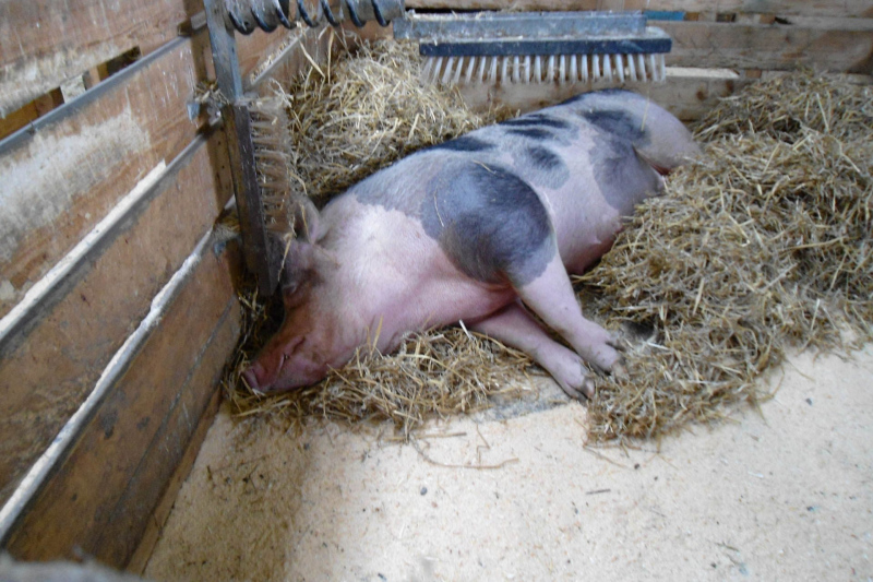 Urlaub in Österreich - Salzburg und umzu 2012