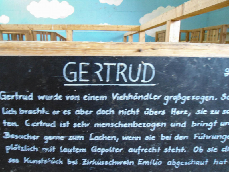 Urlaub in Österreich - Salzburg und umzu 2012