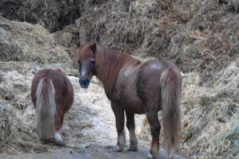 Urlaub in Österreich - Salzburg und umzu 2012