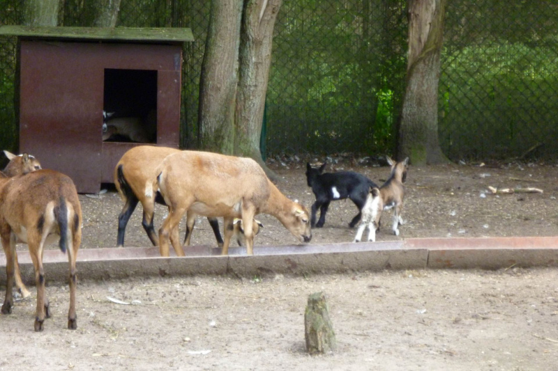 Lynn, Jamie und Brosi im Magic Park 2011