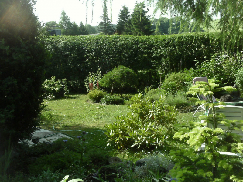 Eggeröder Brunnen (Harz) 2010