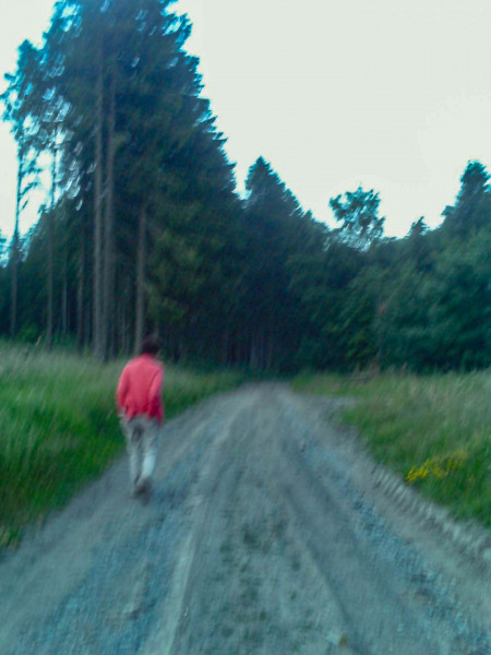 Eggeröder Brunnen (Harz) 2010