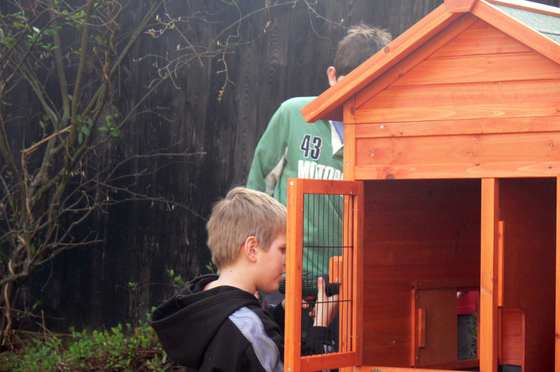 Schweinepalast bauen 2007