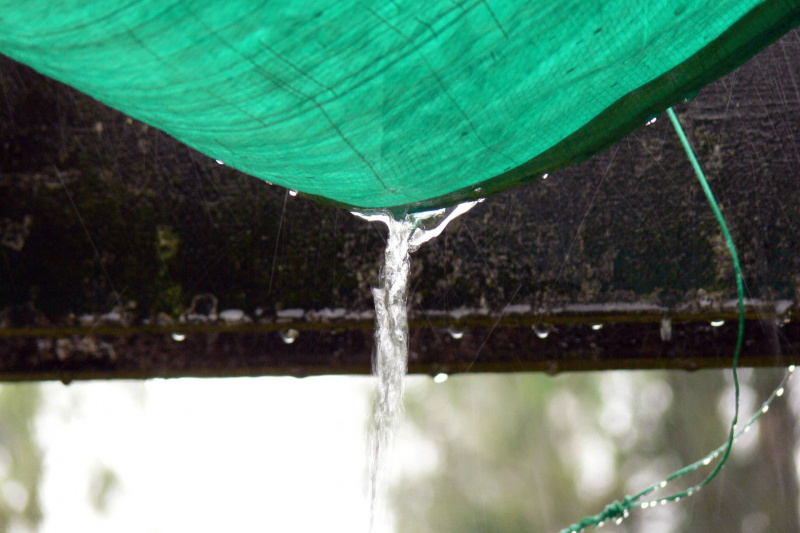 Grillen im Regen 2006