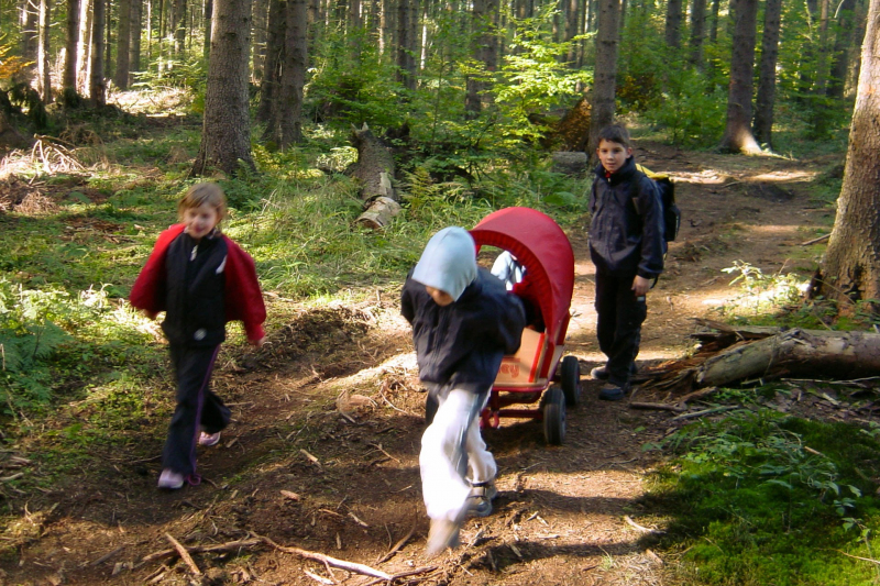 Wanderung im Elm 2005