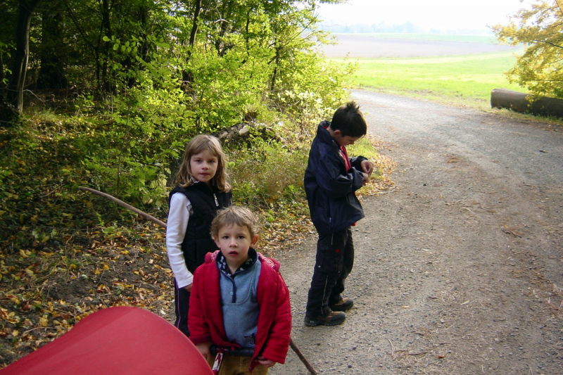 Wanderung im Elm 2005