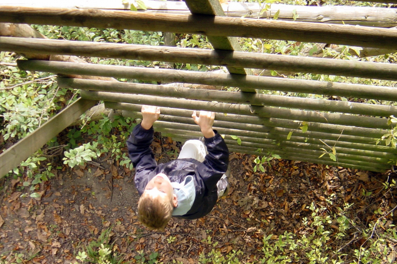 Wanderung im Elm 2005