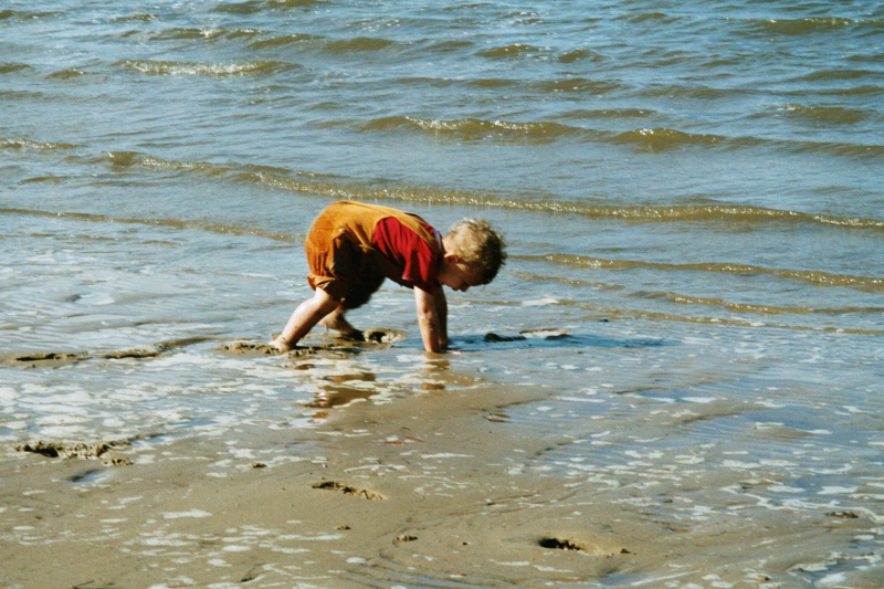 Mit Mann und Maus an der Weser 2003