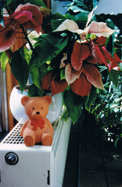 Hendriks erste Monate 1995