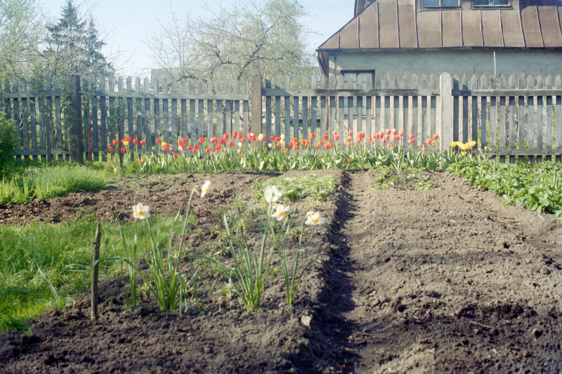 Birgit - Studienreise nach Riga 1994