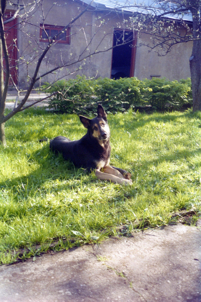 Birgit - Studienreise nach Riga 1994