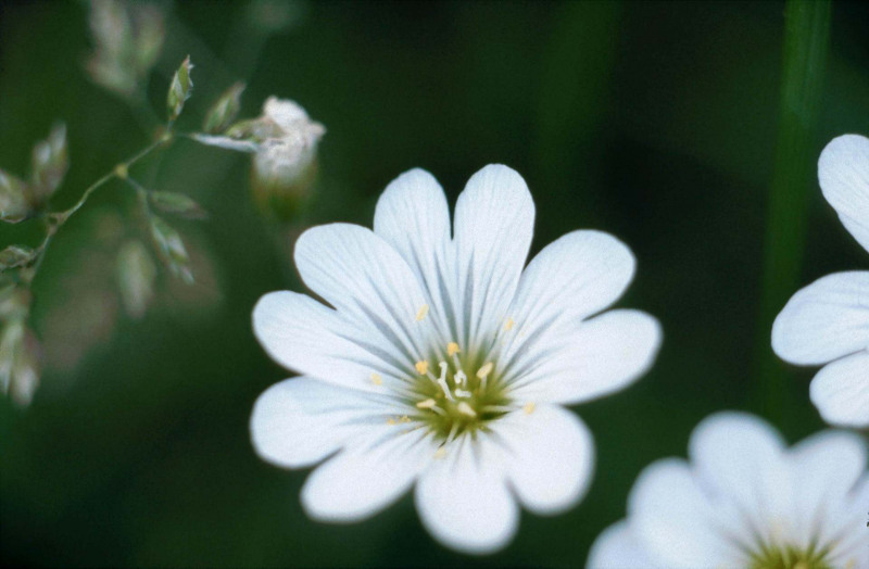 Andreas Studium in Erlangen 1983 bis 1993