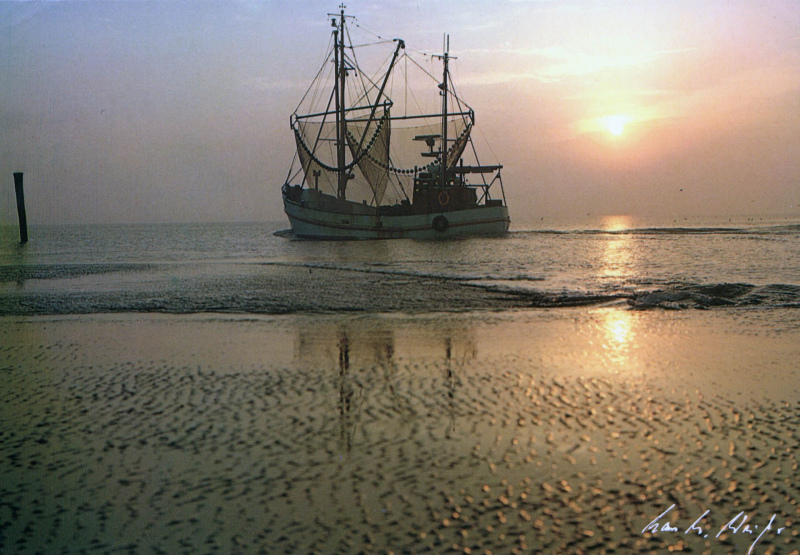 Muddi auf Borkum 1987