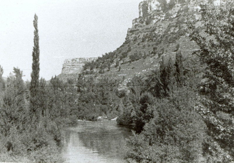 Auguste Scholtissek (geb. Salich) - Bilder 01