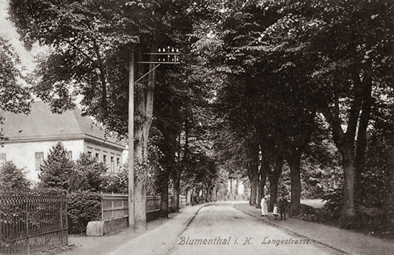 Blumenthal i. Hann. (1909)