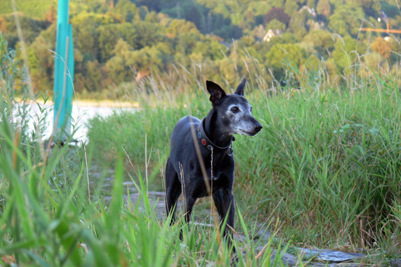 Urlaub mal wo anders 2008