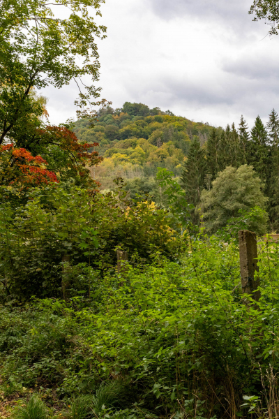 Ausflug zum Tag der Deutschen Einheit in das Selketal 2023
