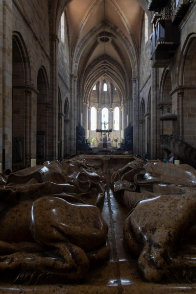 Der Dok muss raus - Bamberg 2023