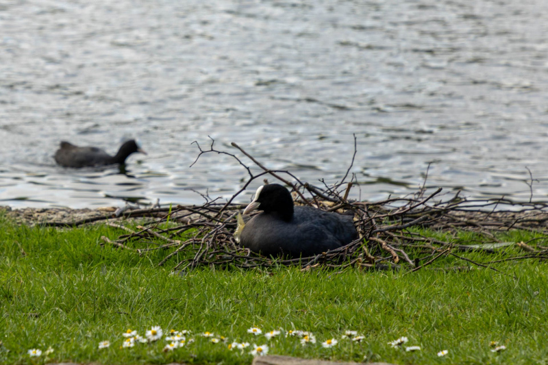 Osterausflug in die Lüneburger Heide 2025