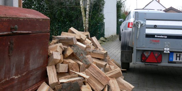 Von den Bäumen und Kaminholz für den Ofen 2018