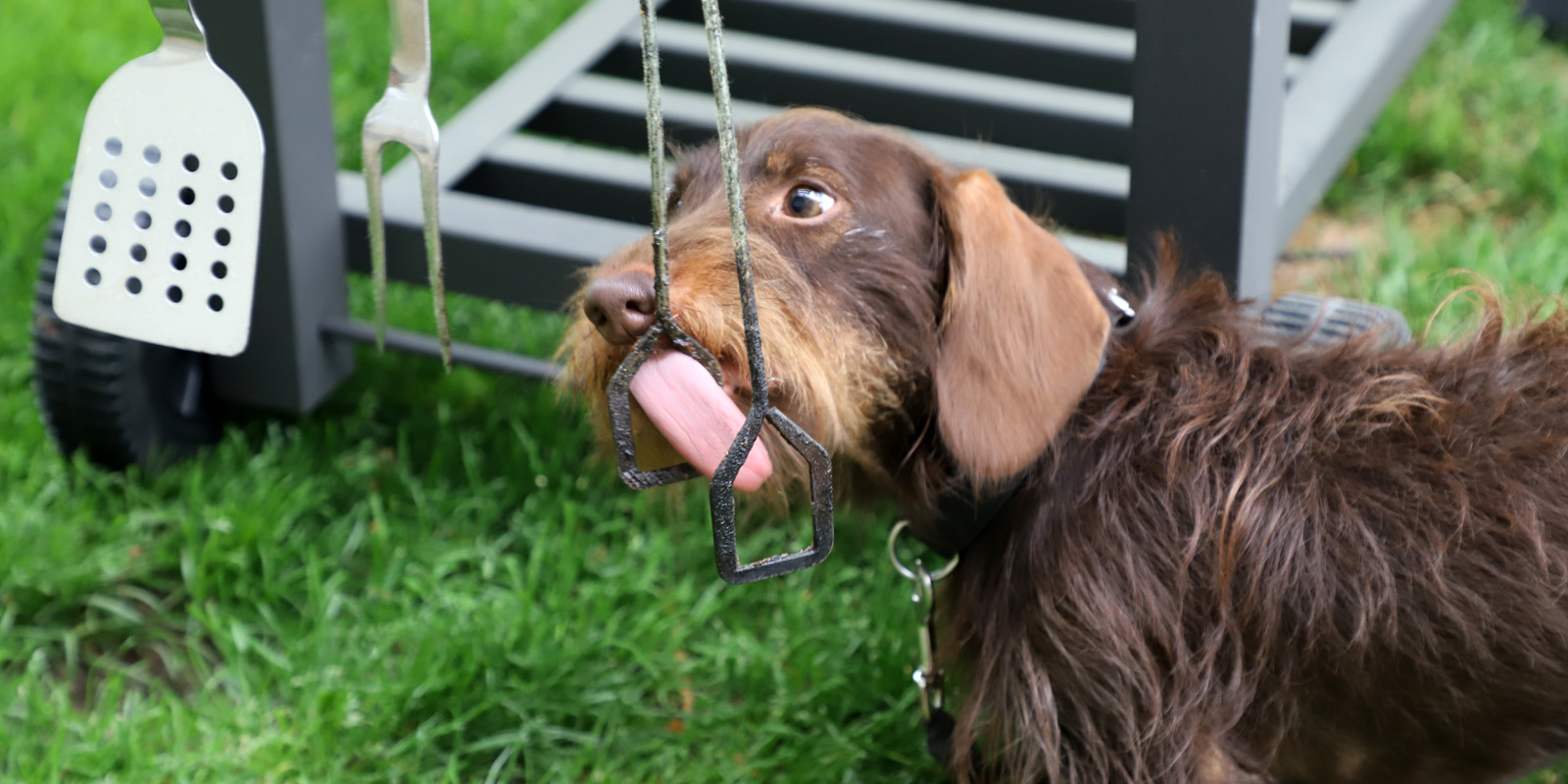 Von Mitessern und andere Geschichten mit Seppel 2018