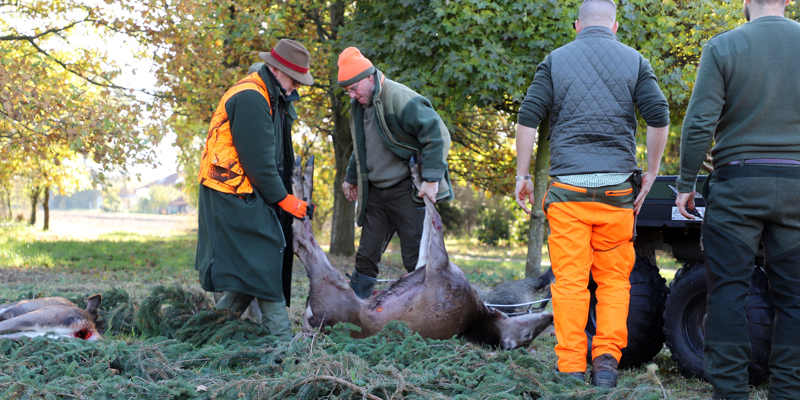 Auf Drückjagd bei Isabel und Uli 2018
