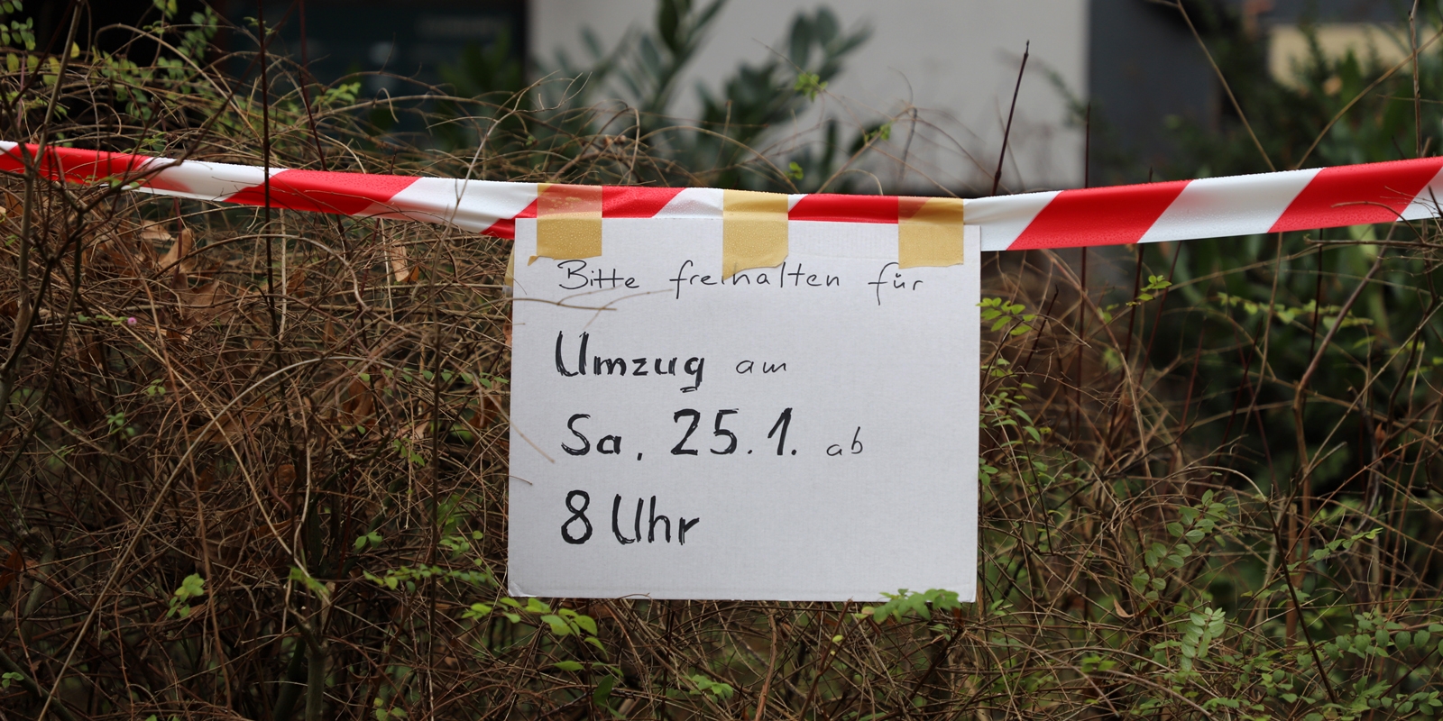 Umzug Ronja, Katy und Erik in die Bergiusstraße 2020