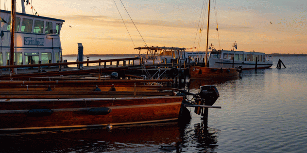 Mal wieder am Steinhuder Meer 2021